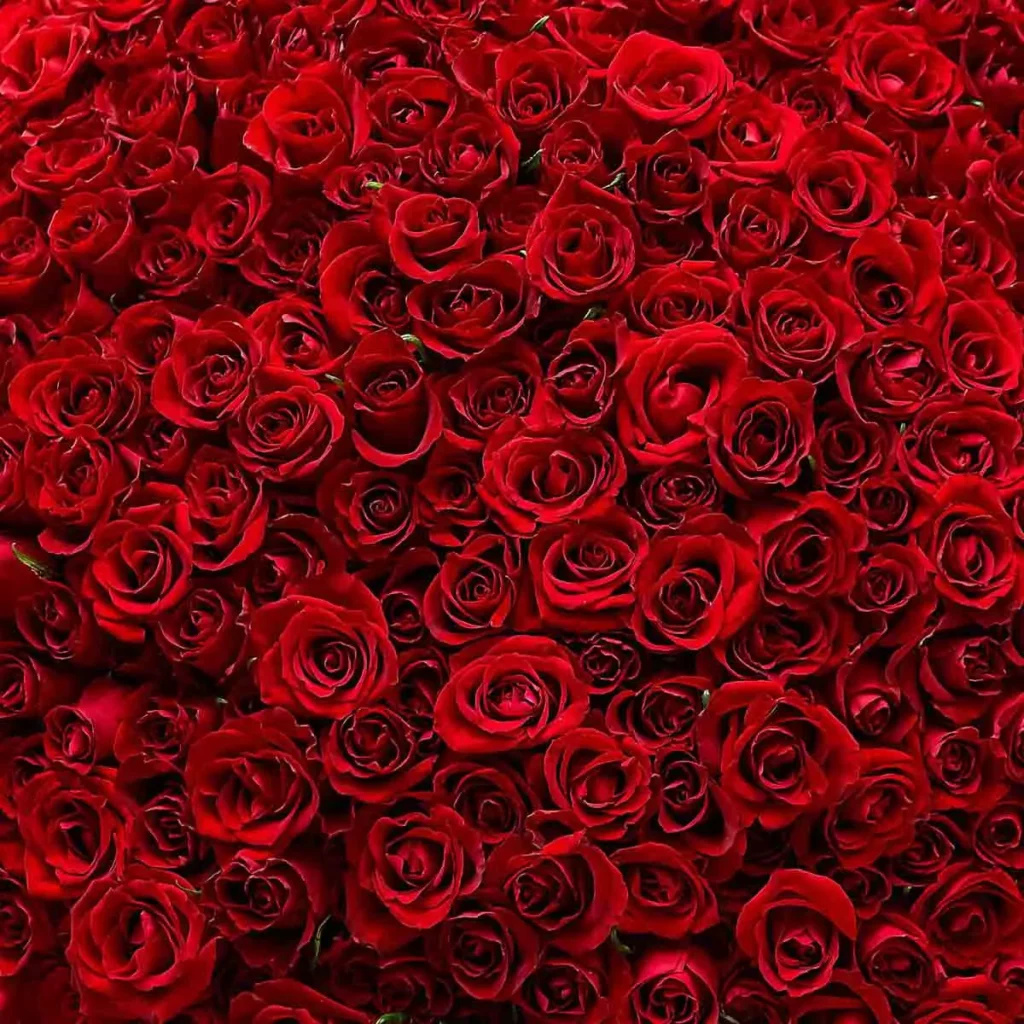 Romantic
